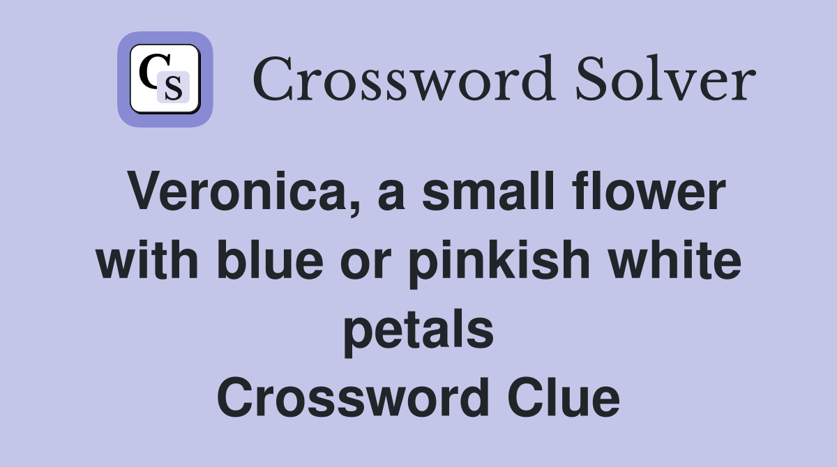 Veronica, a small flower with blue or pinkish white petals Crossword